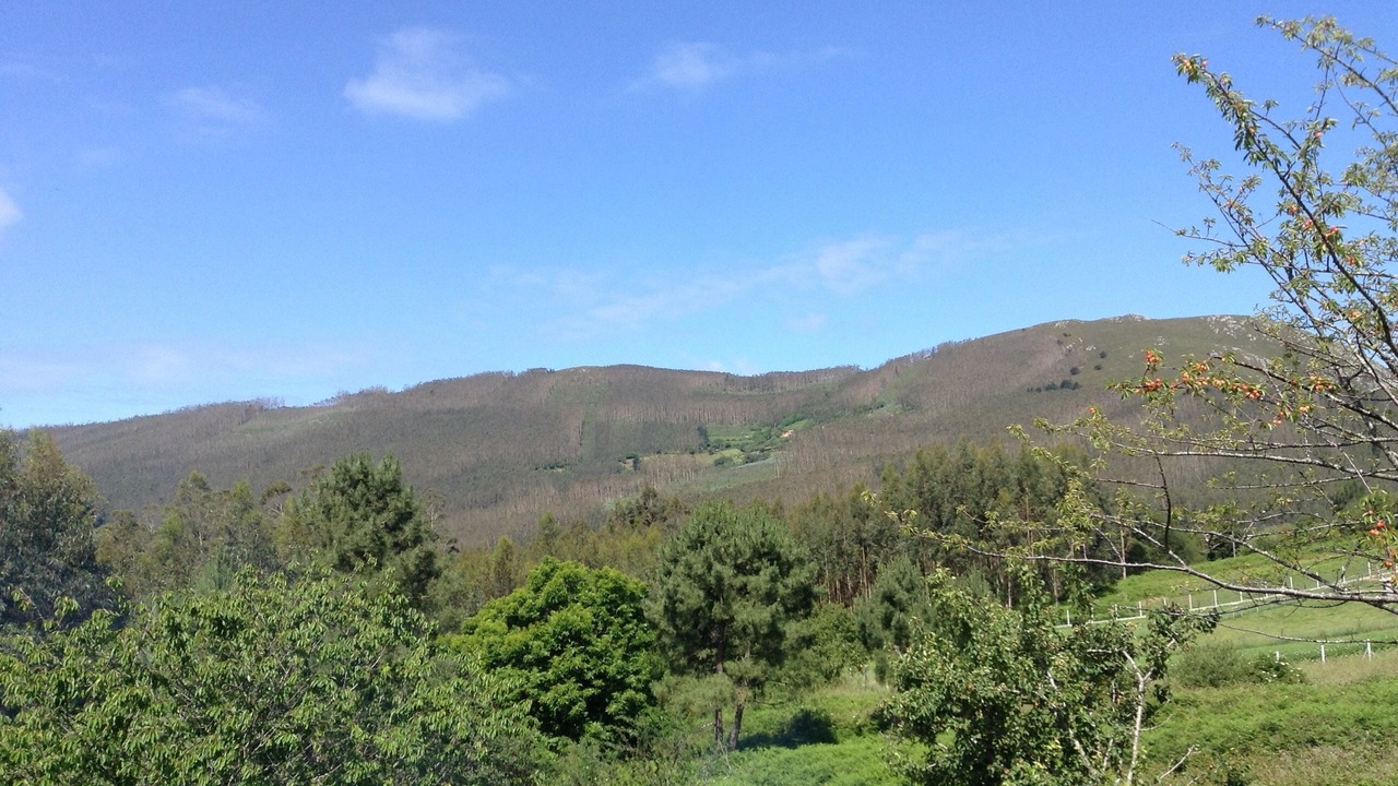 Photo of Outdoor in Cedeira