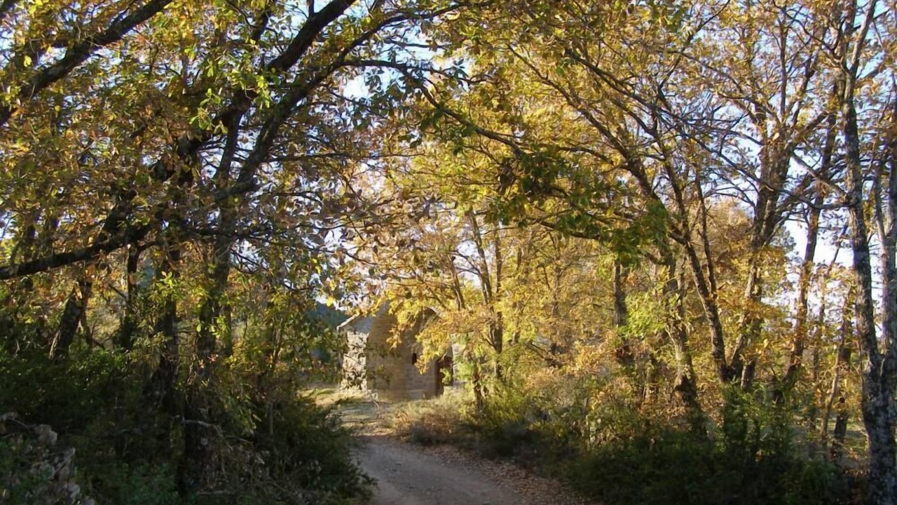 Photo of Outdoor in Camporrotuno