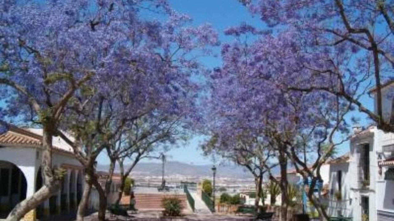 Photo of Outdoor in Churriana