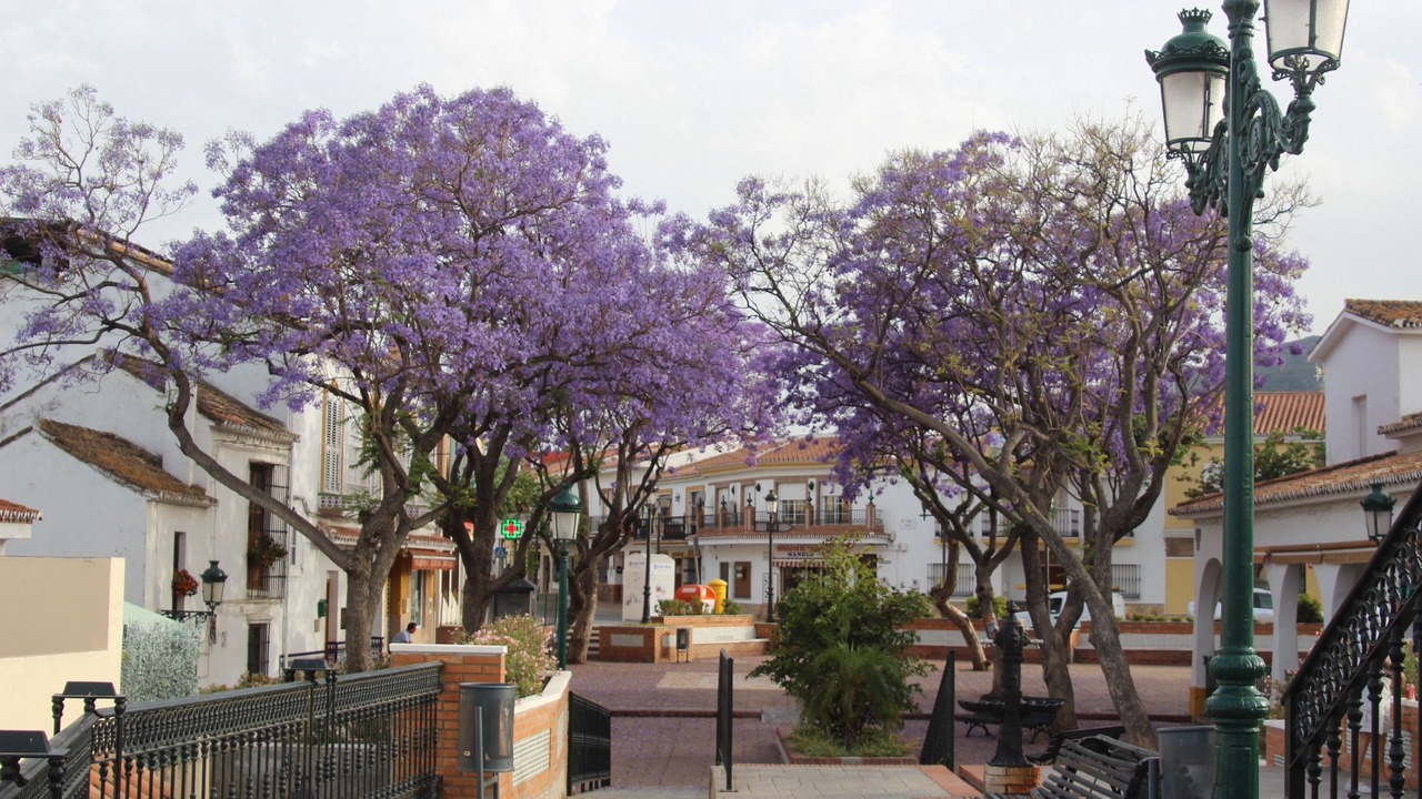 Photo of Outdoor in Churriana