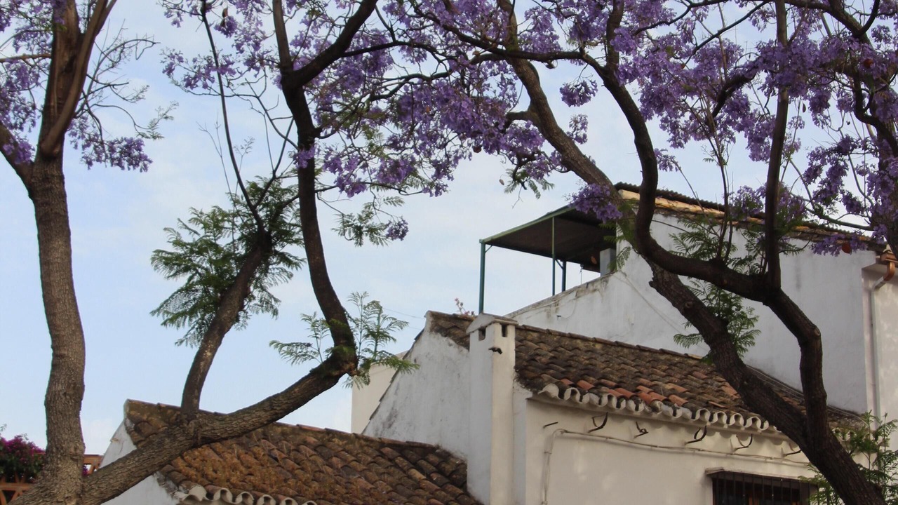 Photo of Outdoor in Churriana