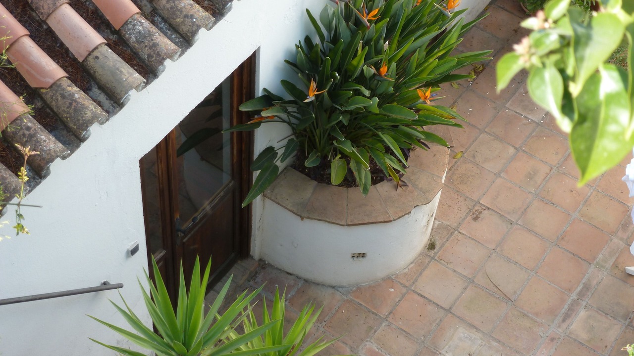 Photo of Outdoor in Churriana