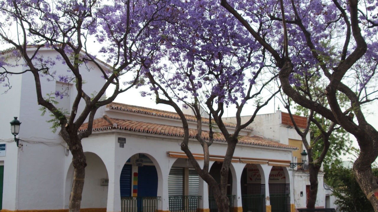 Photo of Outdoor in Churriana