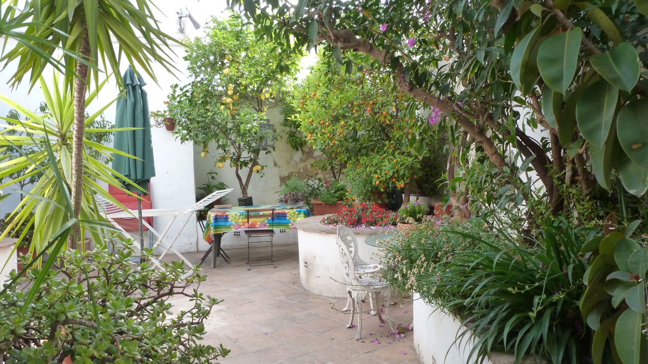 Photo of Patio Balcony in Churriana