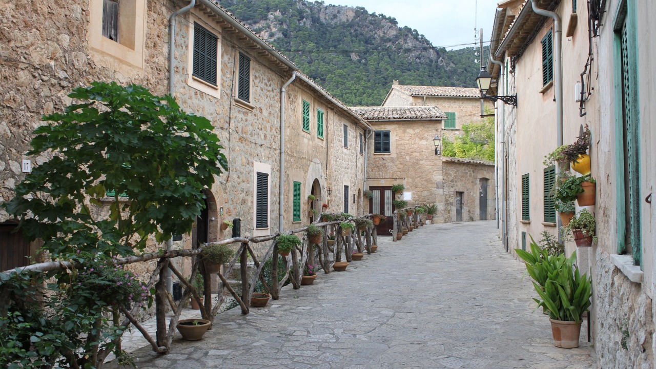 Photo of Others in S'Arxiduc