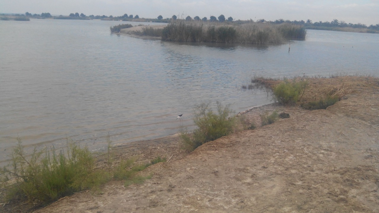 Photo of Others in Orihuela Costa