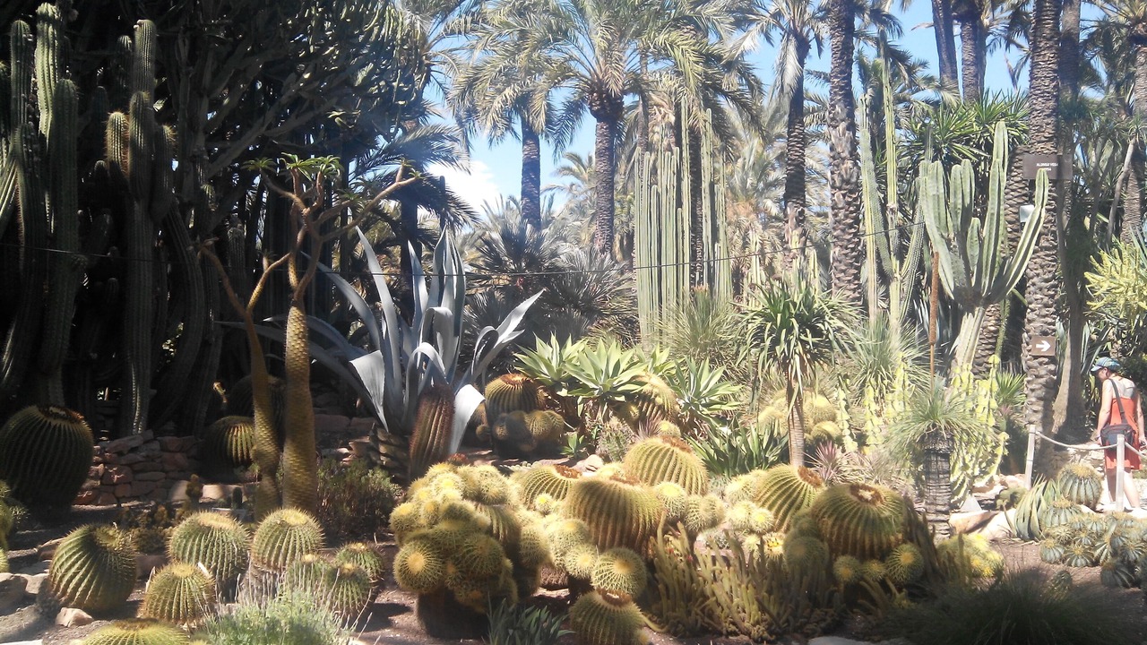 Photo of Outdoor in Orihuela Costa