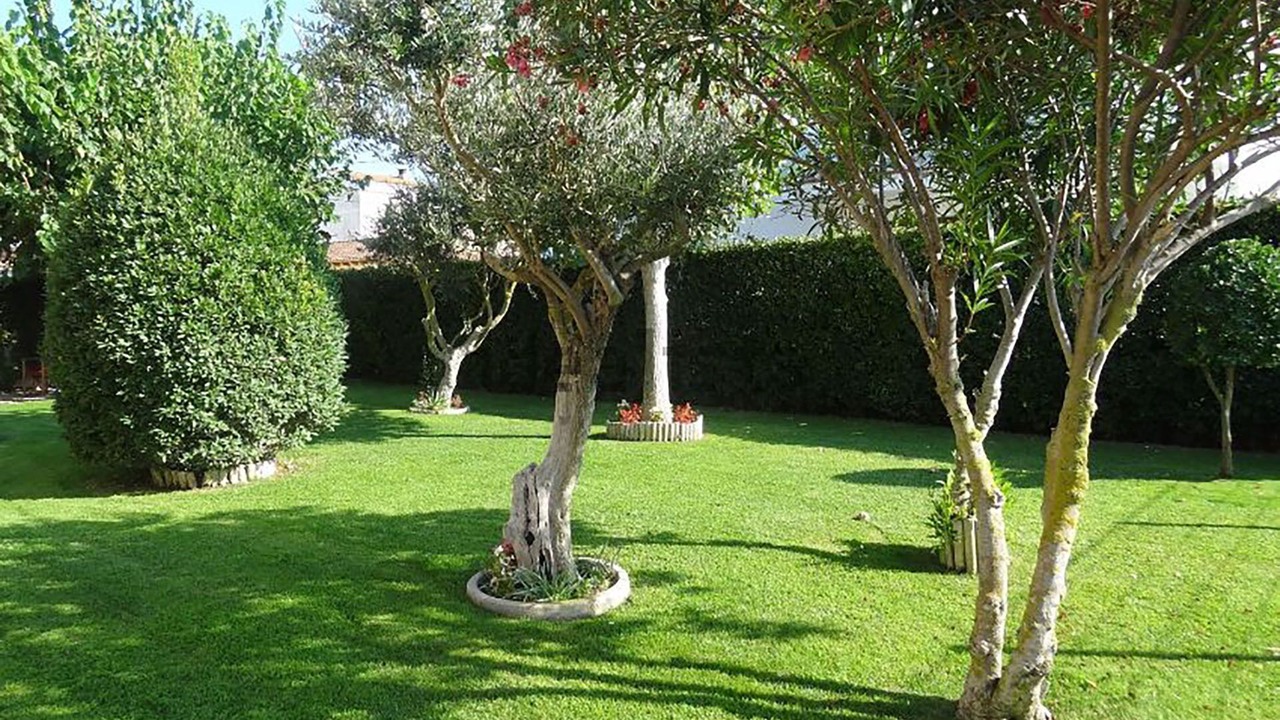 Photo of Outdoor in Els Griells