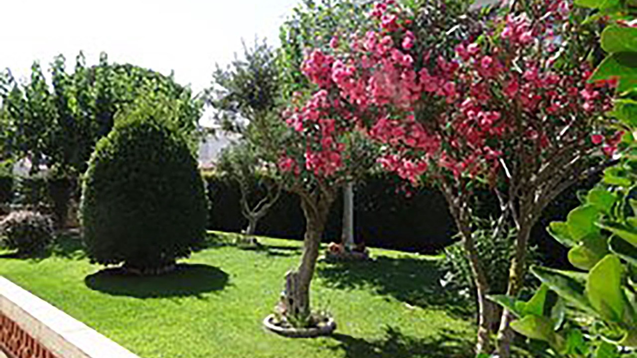 Photo of Outdoor in Els Griells