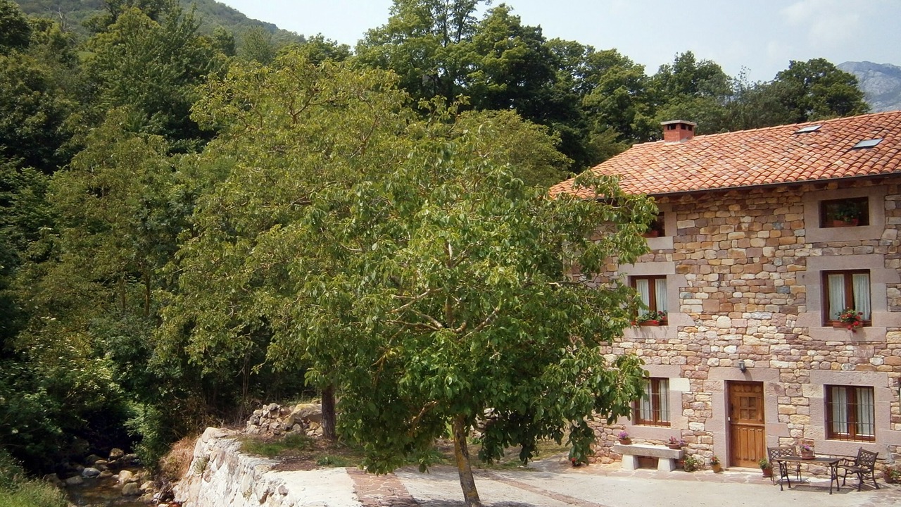 Photo of Outdoor in Cicera