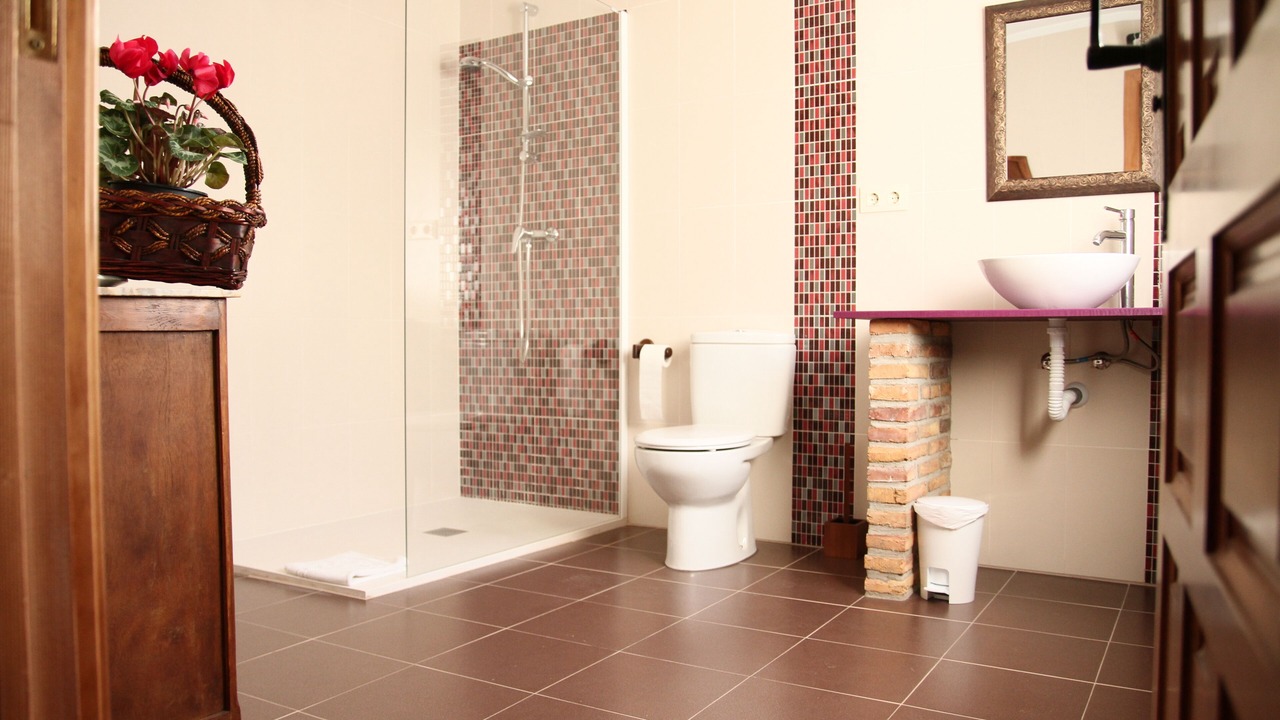 Photo of Bathroom in Arguedas