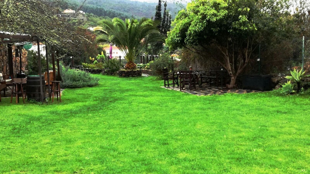 Photo of Outdoor in Icod de los Vinos