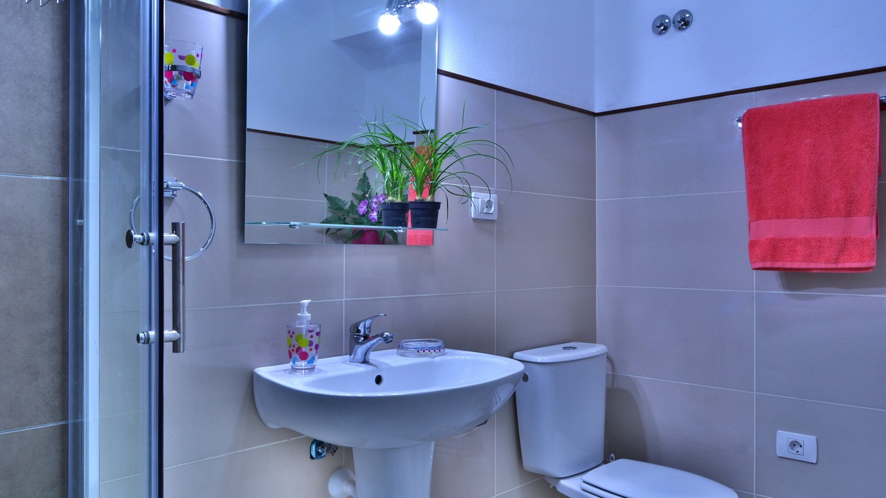 Photo of Bathroom in Granadilla de Abona