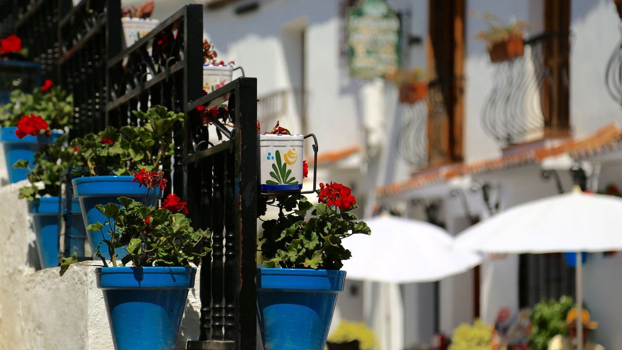 Photo of Others in Mijas