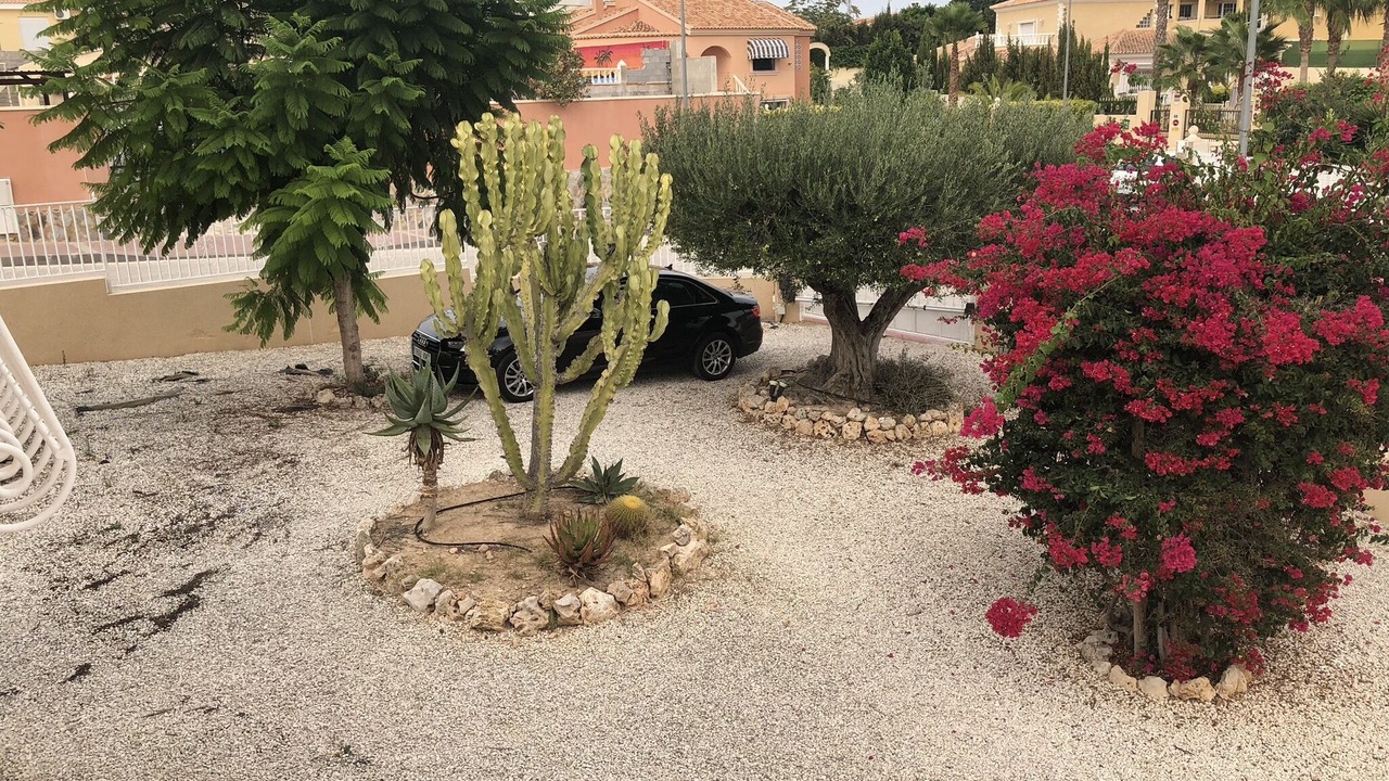 Photo of Outdoor in San Fulgencio