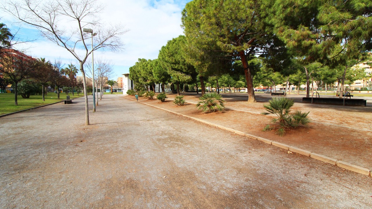 Photo of Others in Sagunto