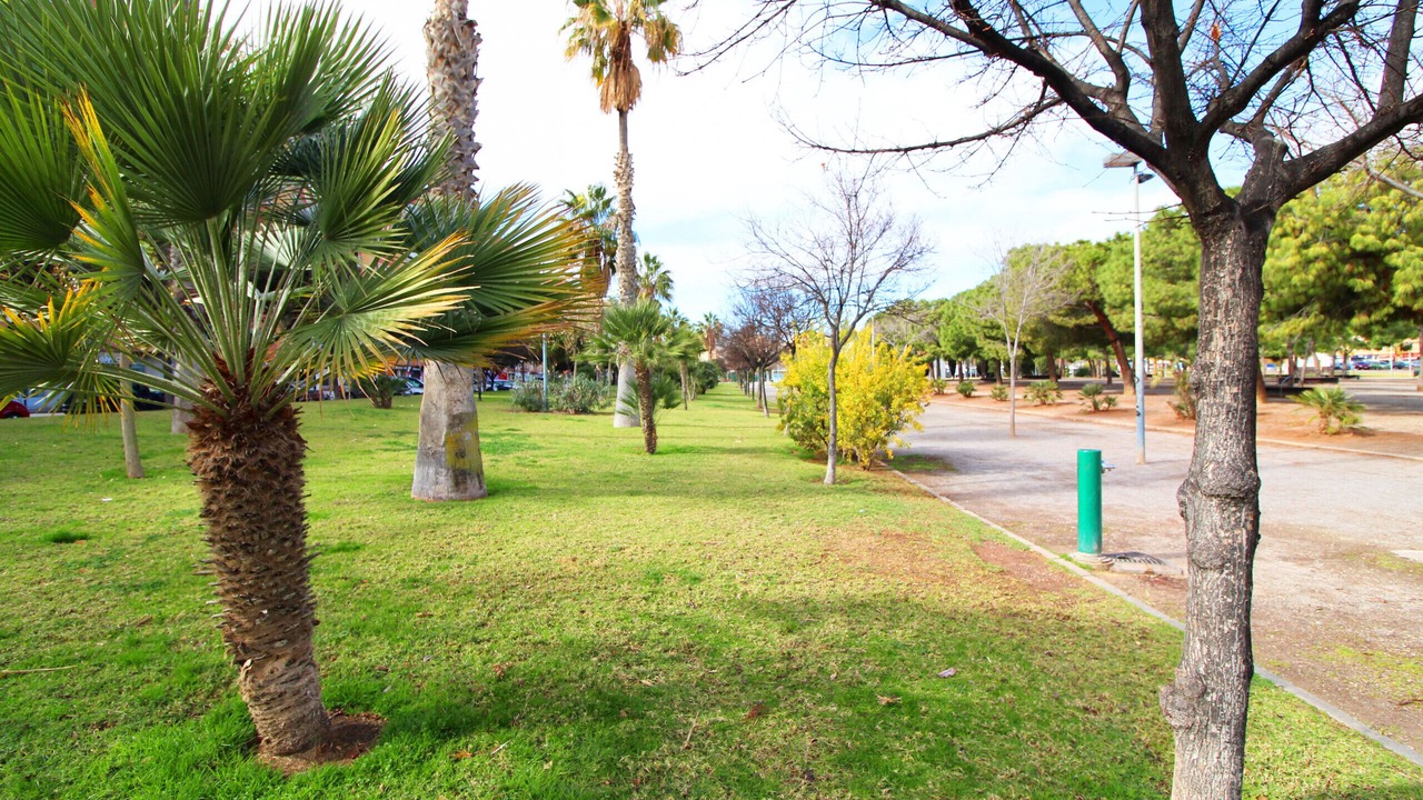 Photo of Others in Sagunto