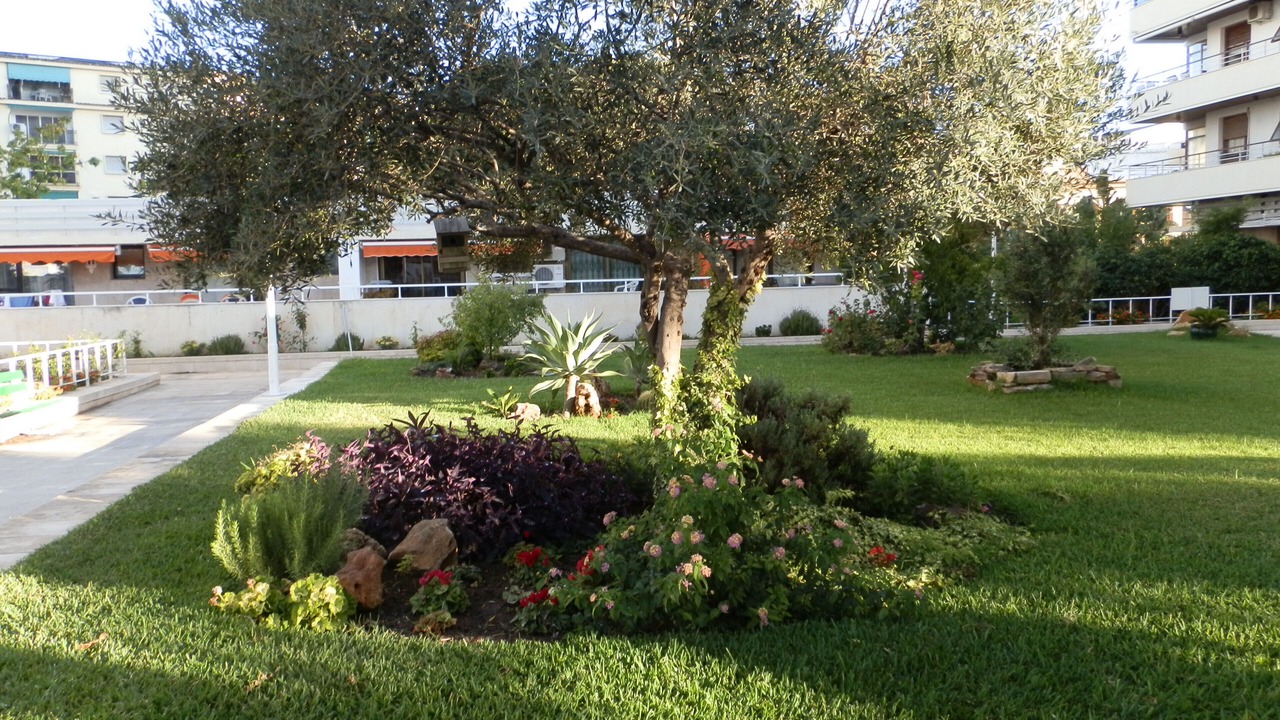 Photo of Outdoor in Torremolinos City Centre