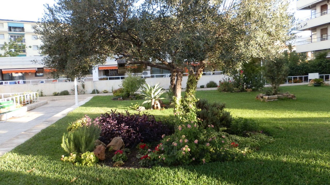 Photo of Outdoor in Torremolinos City Centre