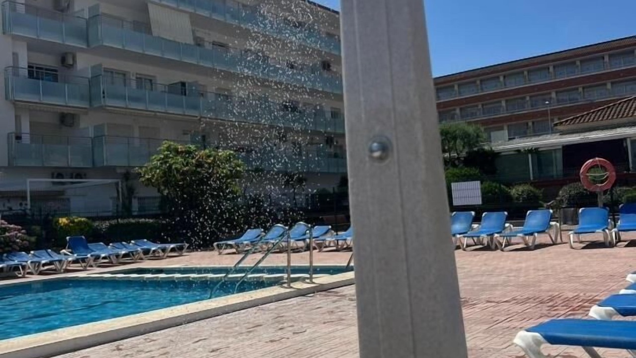 Photo of Outdoor in Blanes