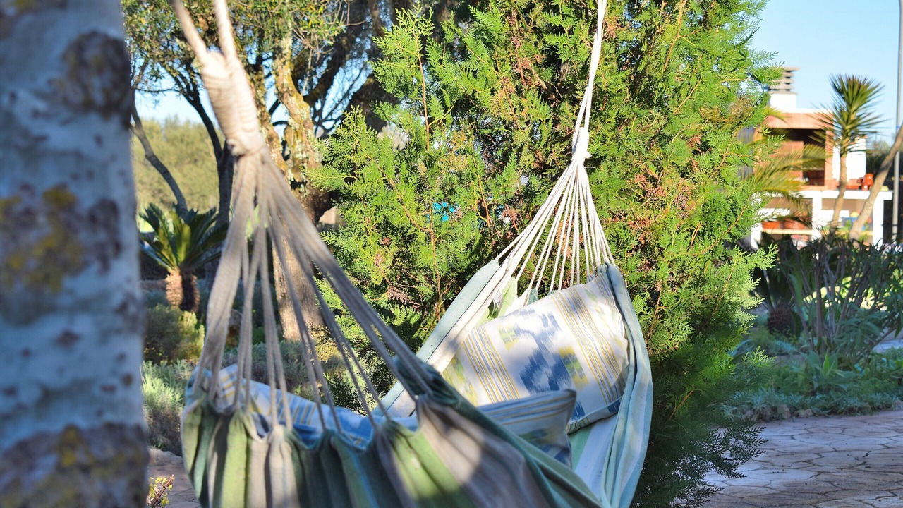 Photo of Outdoor in Santa Margalida