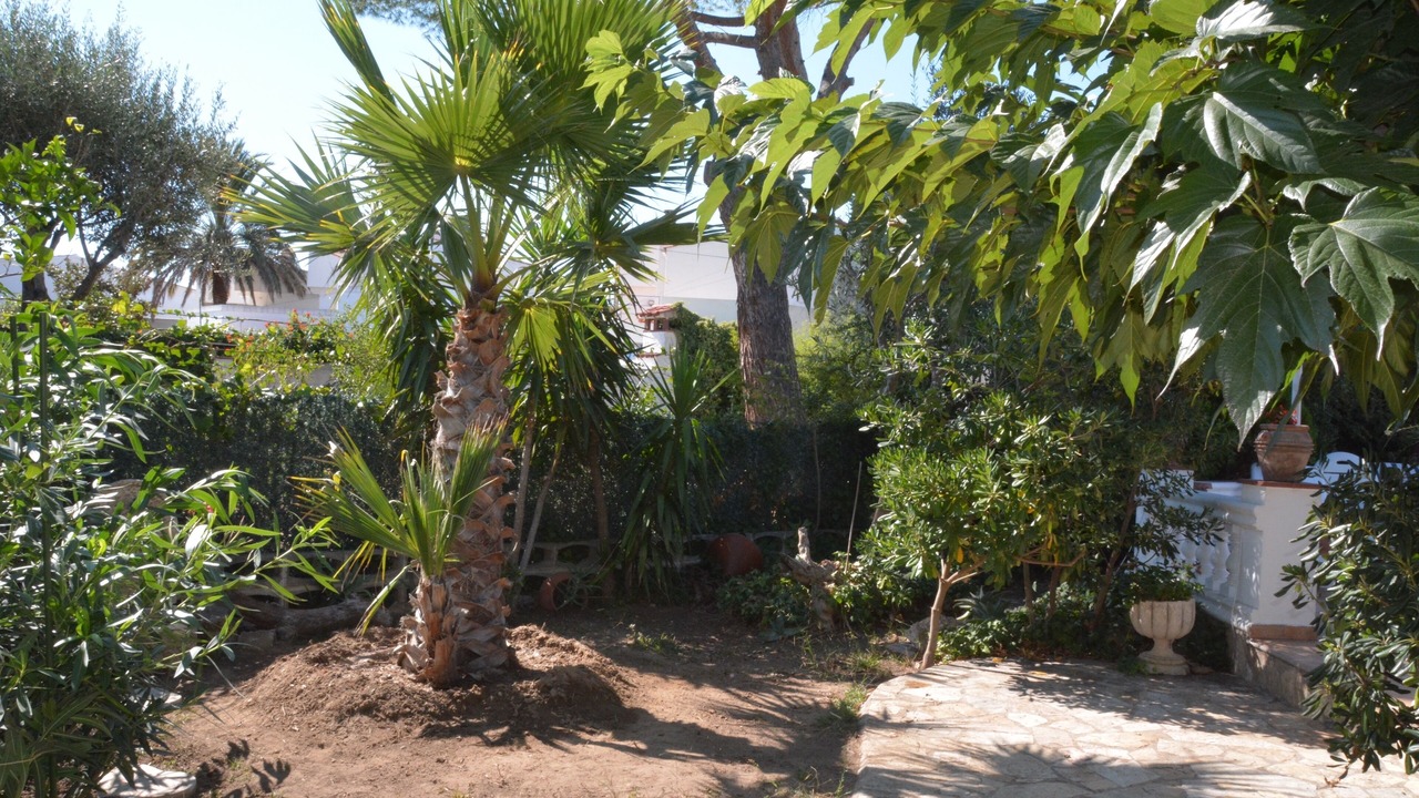 Photo of Outdoor in Empuriabrava
