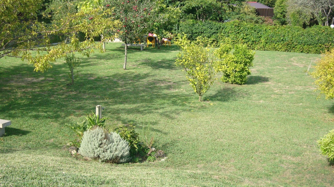 Photo of Others in Noalla