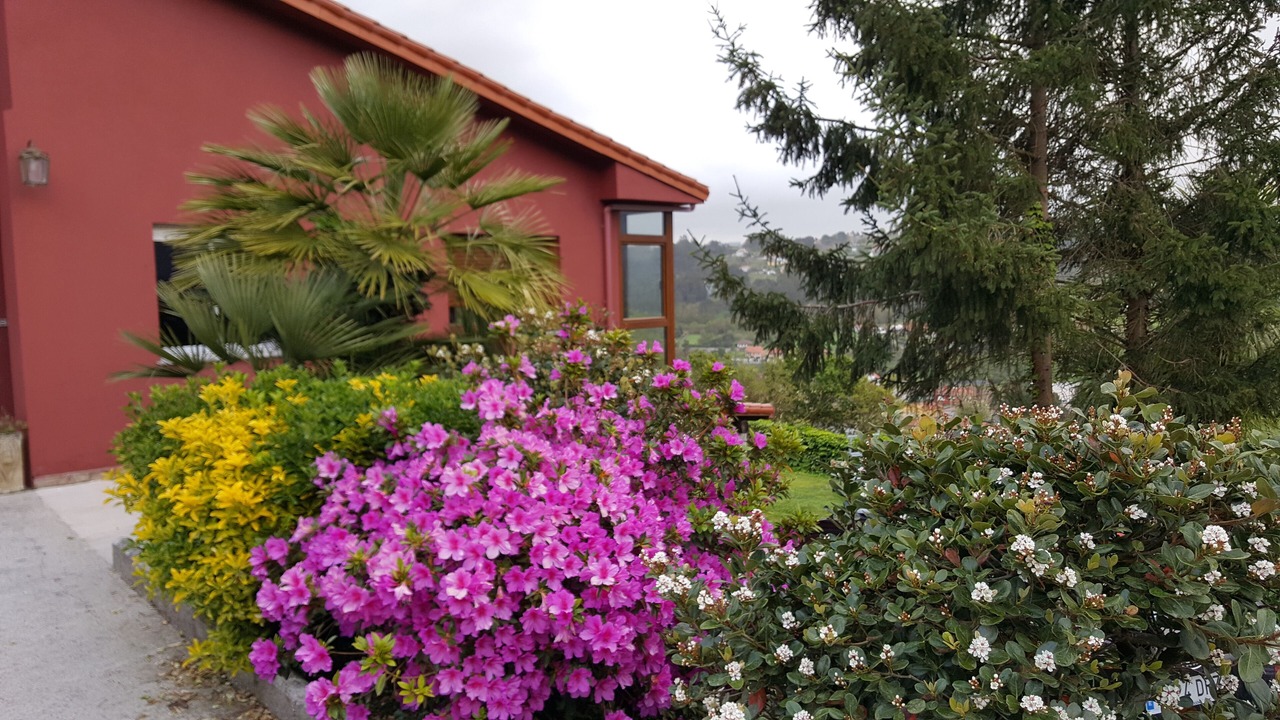 Photo of Outdoor in Culleredo