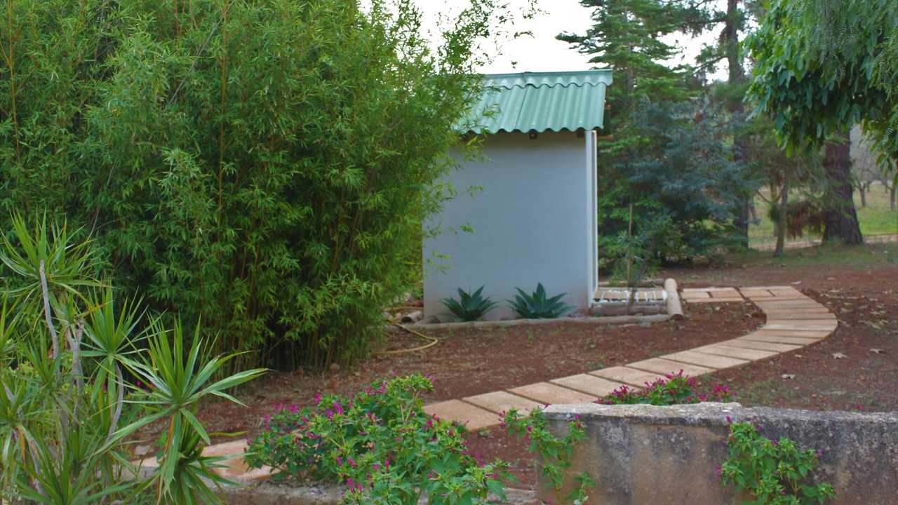 Photo of Outdoor in Esporles