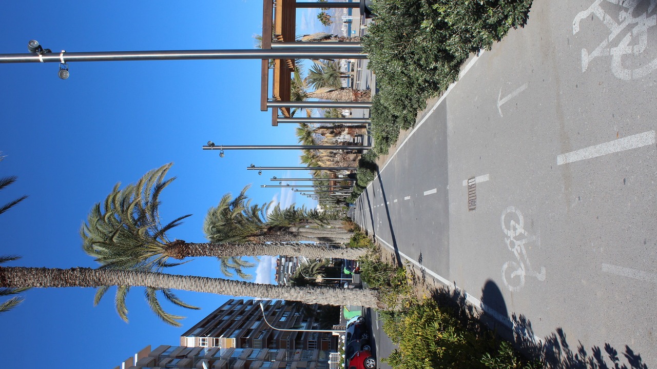 Photo of Others in Playa de San Juan