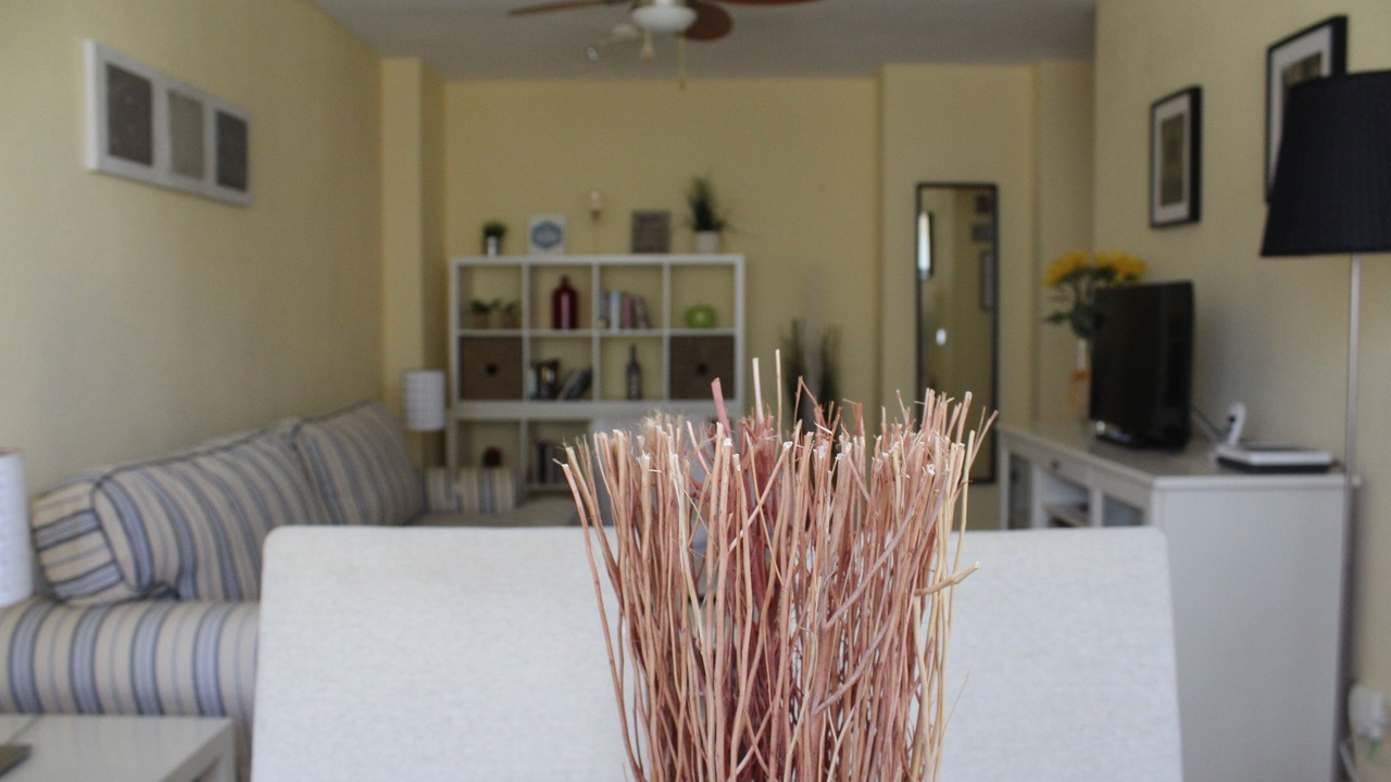 Photo of Livingroom in Playa de San Juan