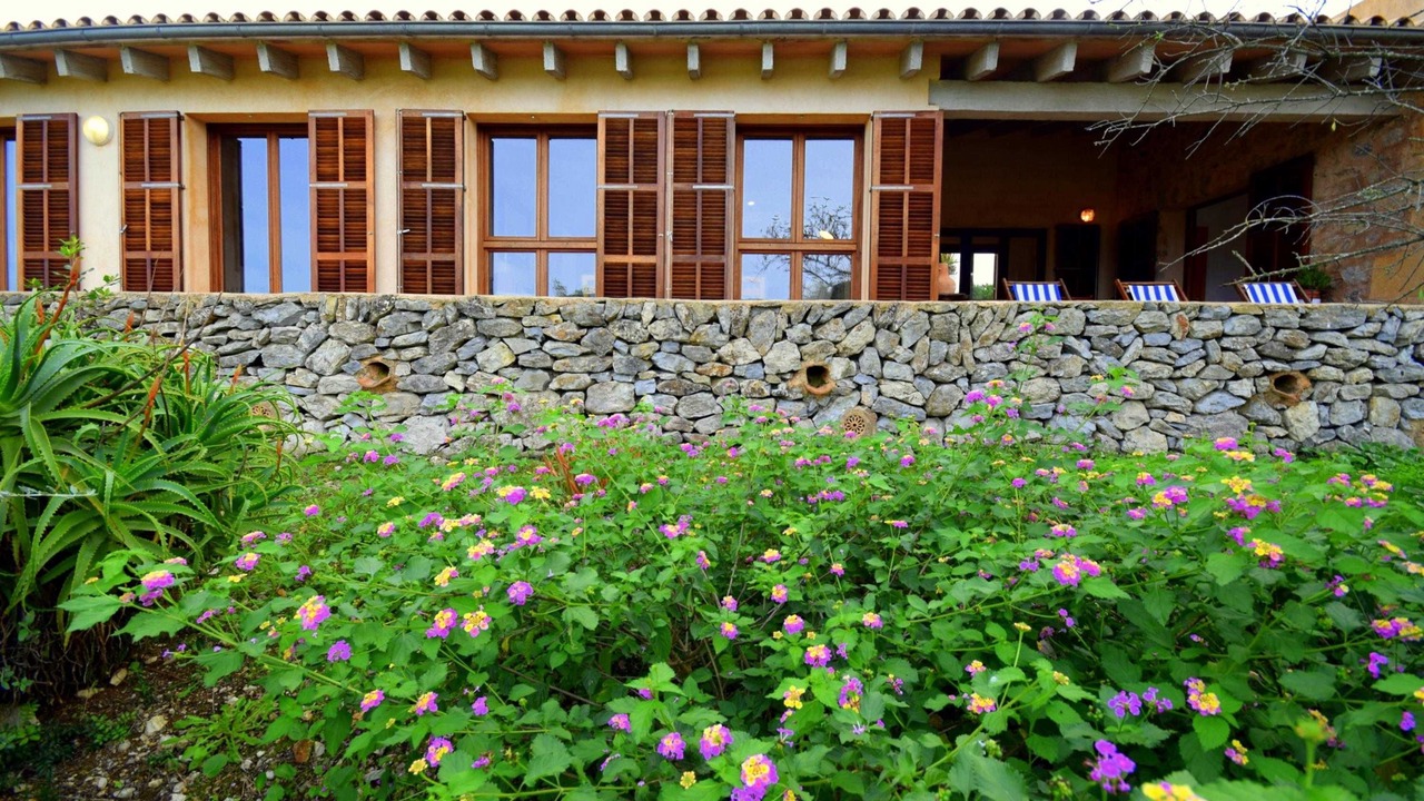 Photo of Outdoor in Arta