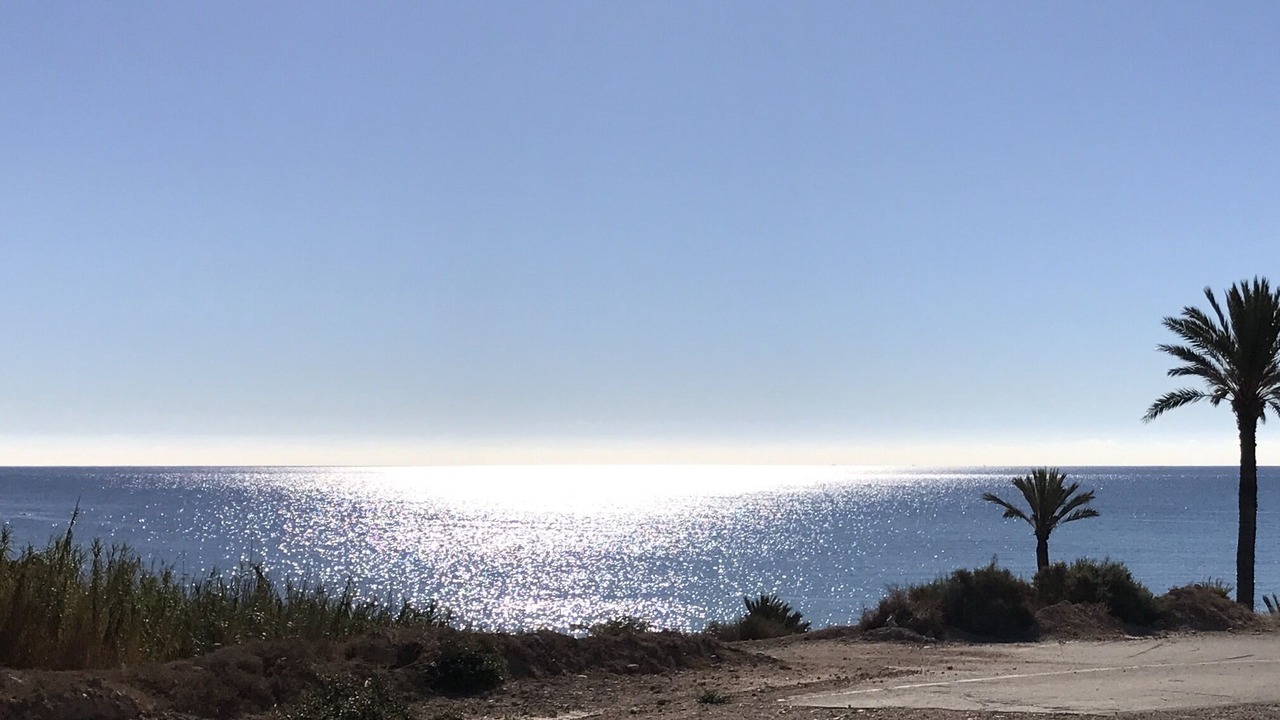 Photo of Others in Puerto de Mazarron