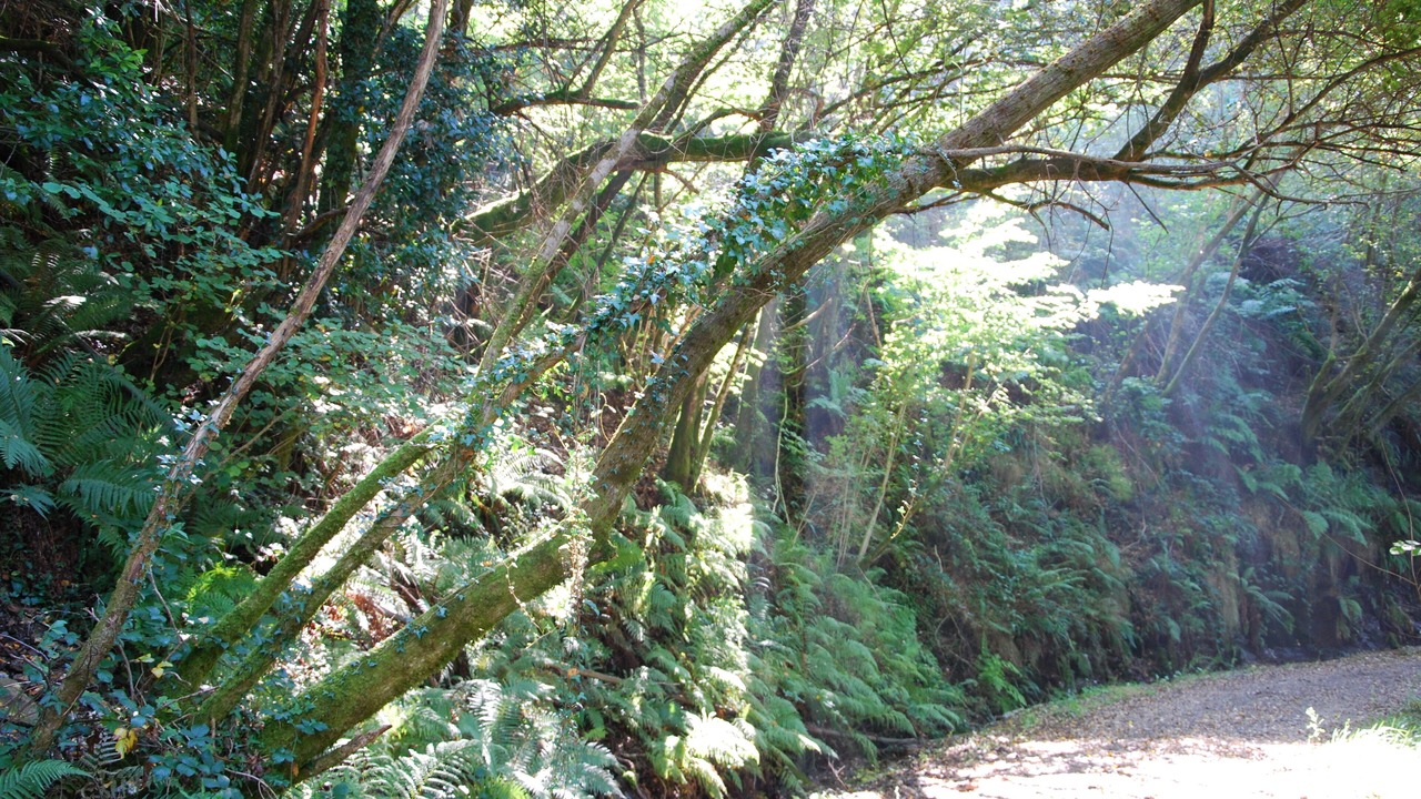 Photo of Outdoor in As Pontes De Garcia Rodriguez