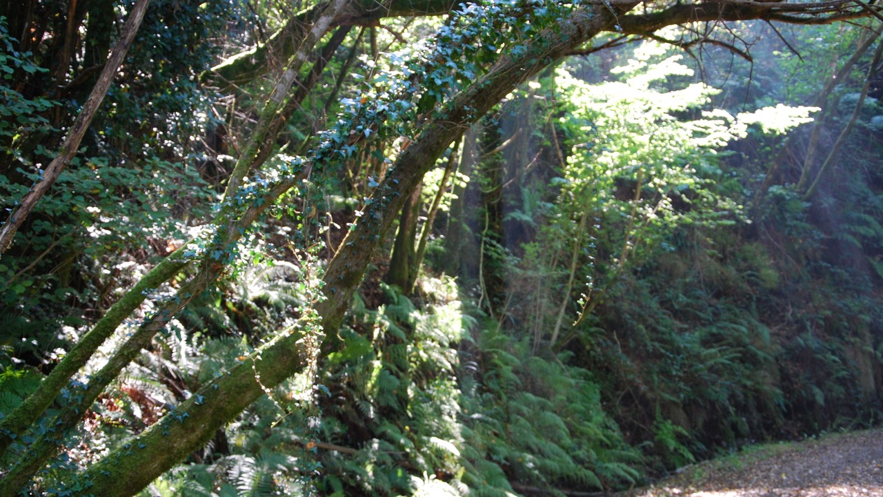 Photo of Outdoor in As Pontes De Garcia Rodriguez