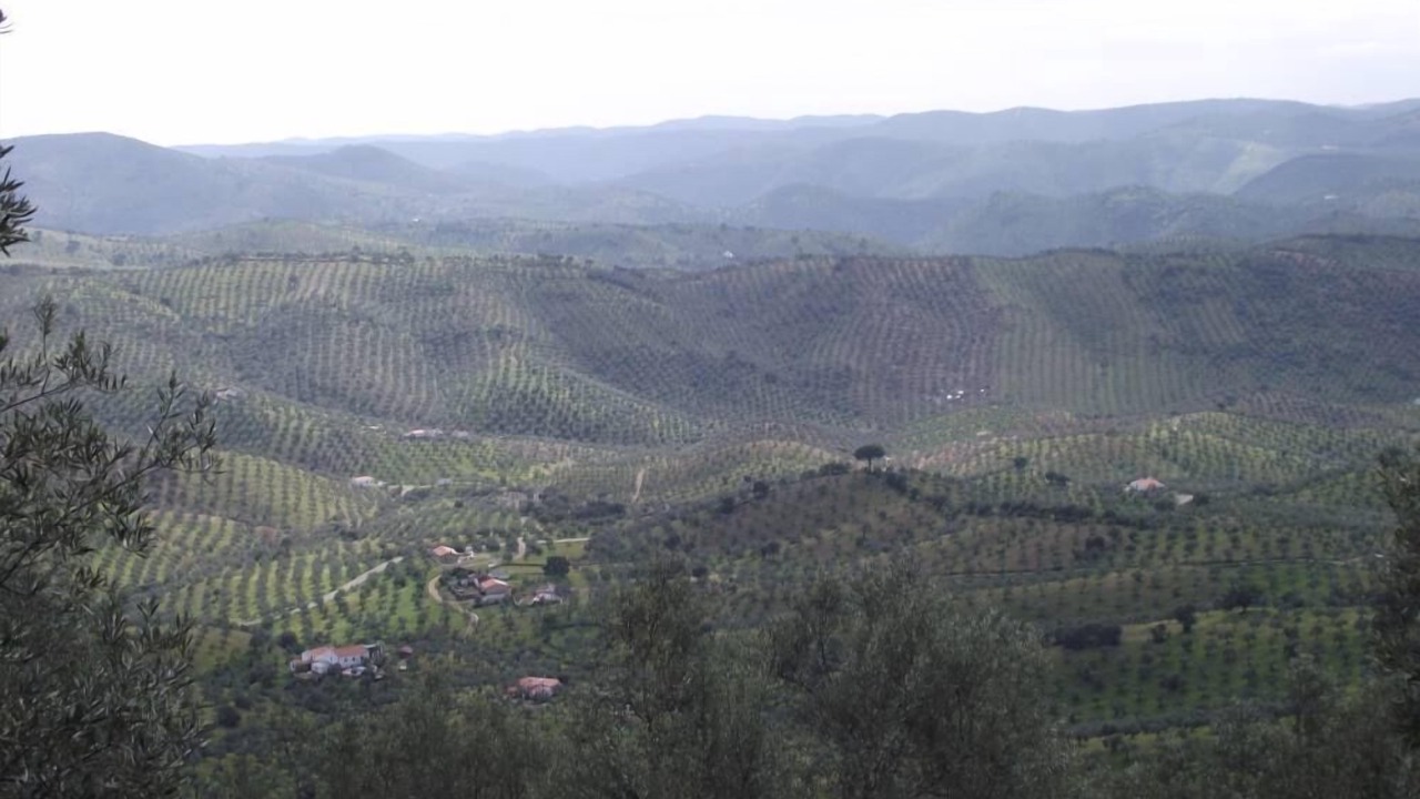 Photo of Others in Pozoblanco
