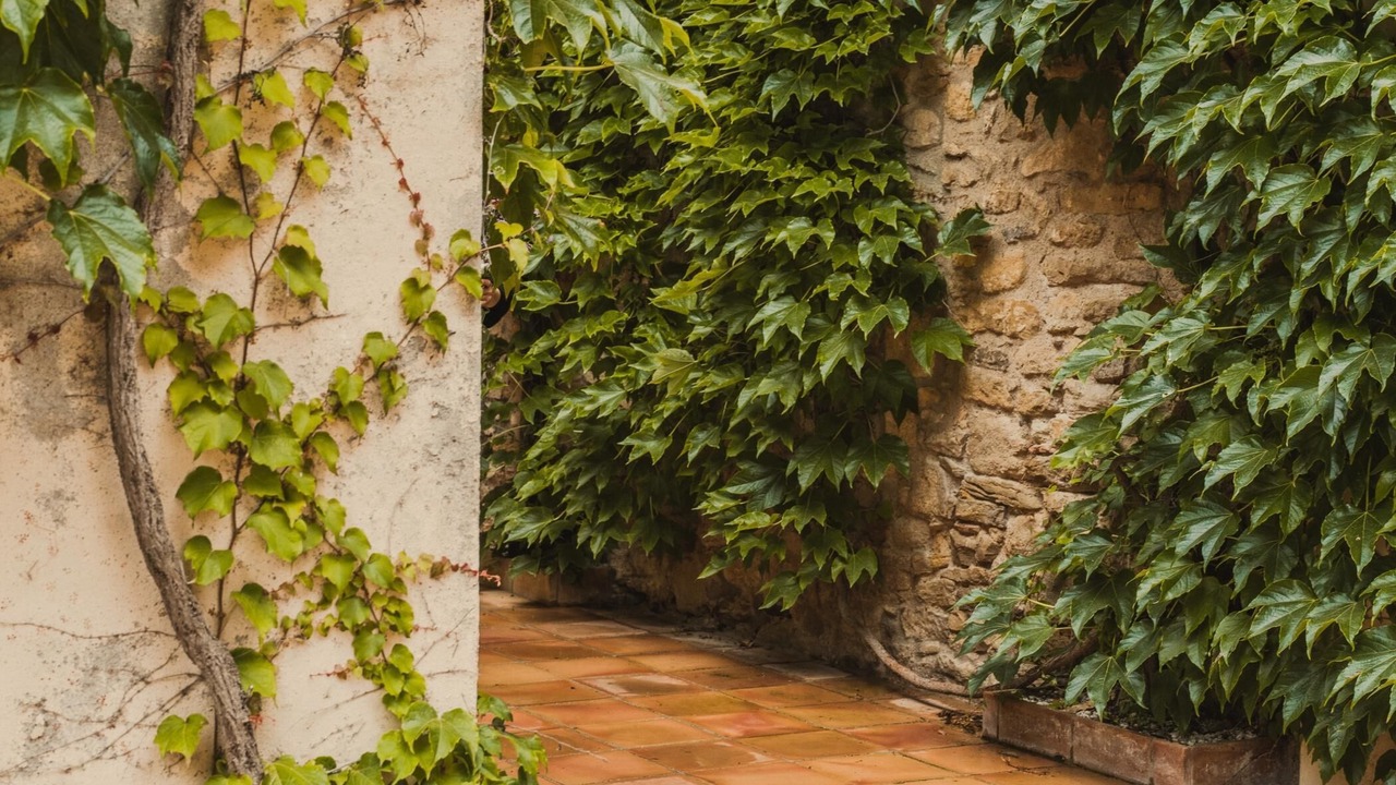 Photo of Outdoor in Peratallada