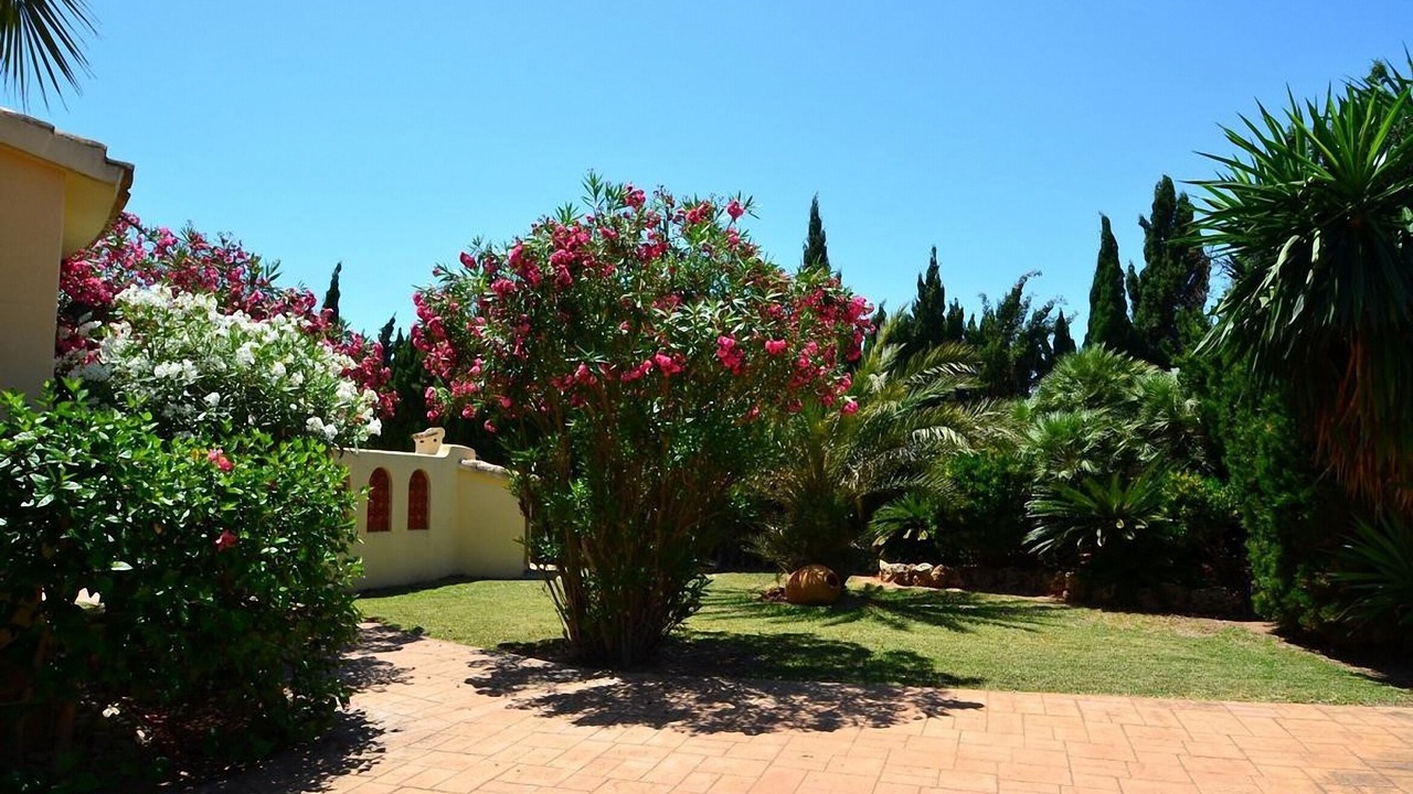 Photo of Others in Molinell