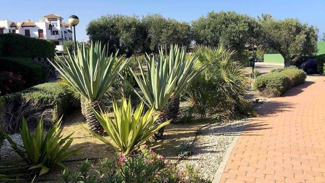 Photo of Outdoor in Vera Beach