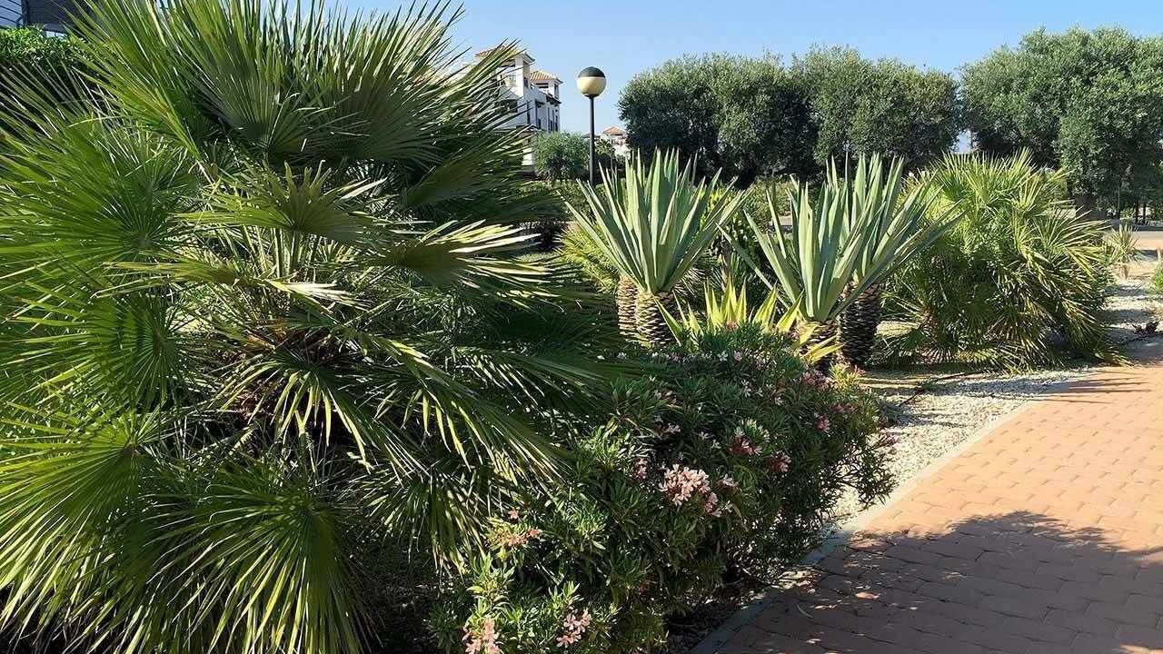 Photo of Outdoor in Vera Beach