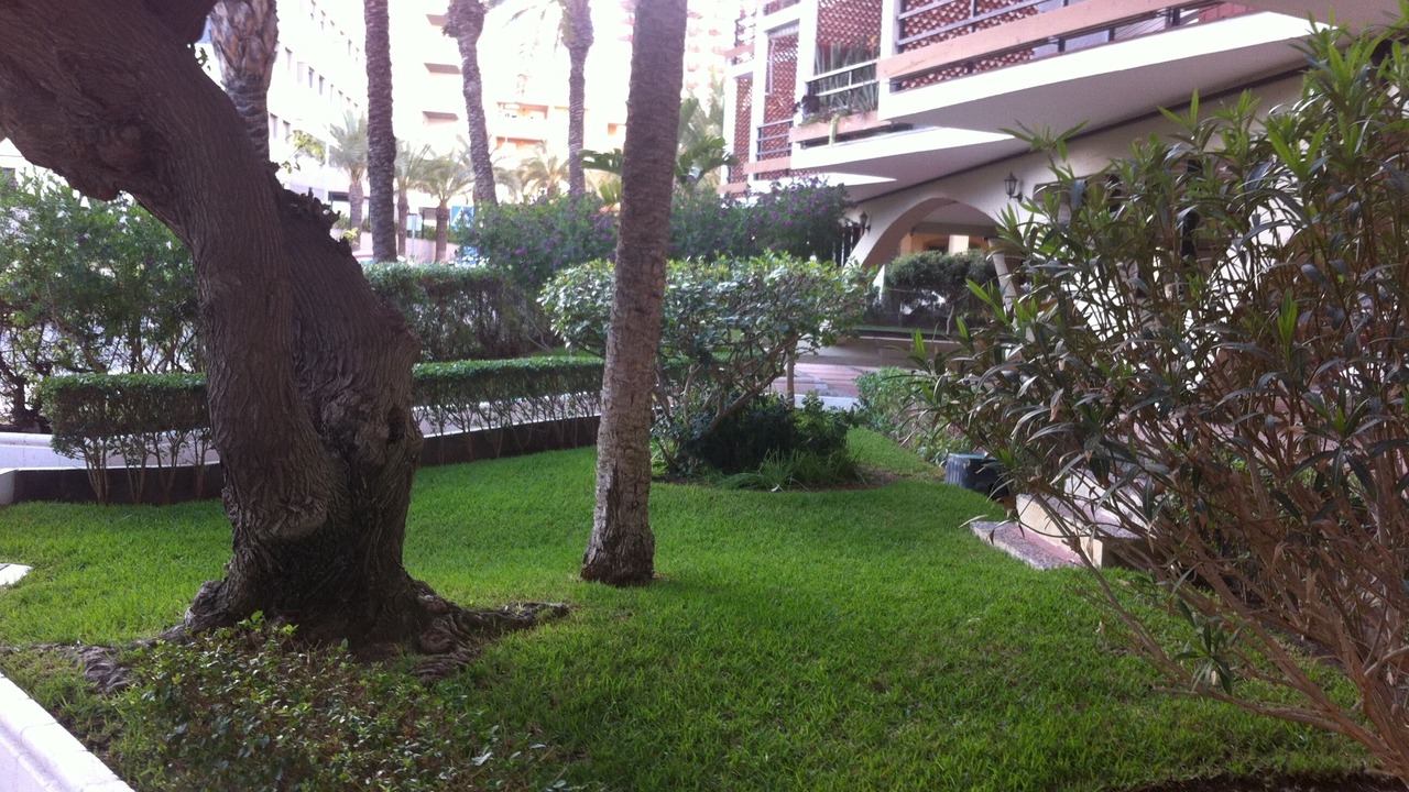 Photo of Outdoor in Aguadulce
