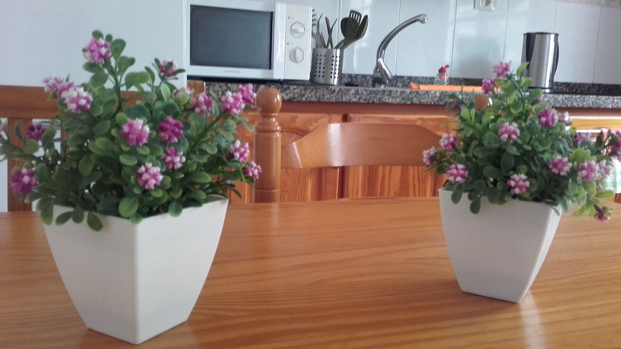 Photo of Kitchen in Taganana