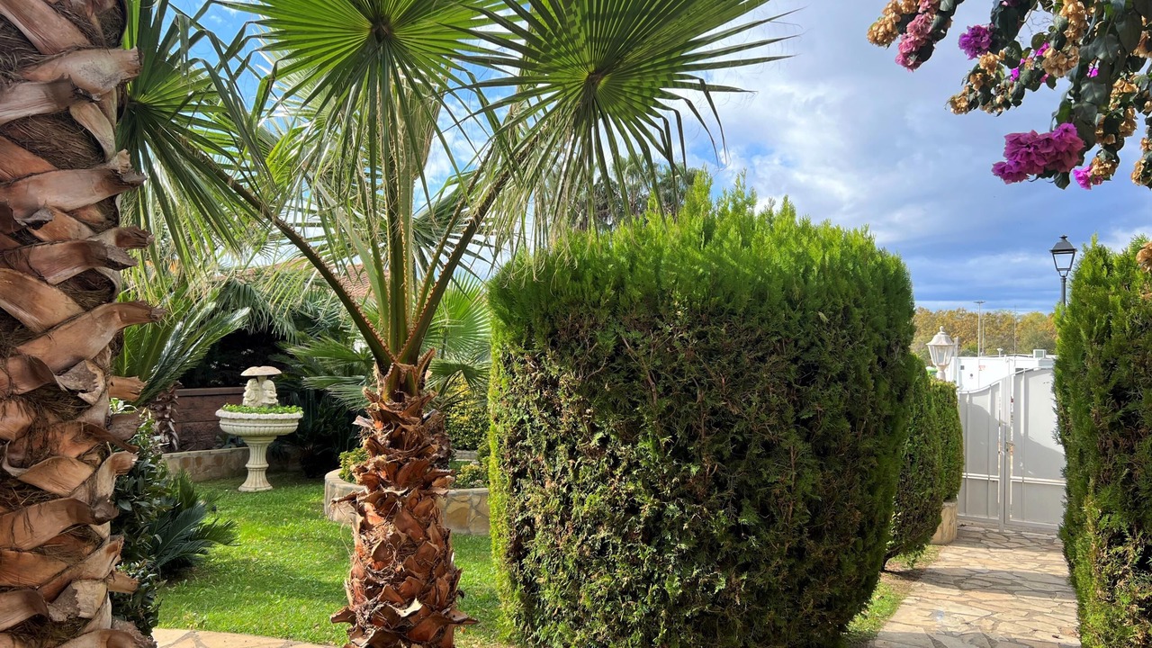 Photo of Outdoor in Sant Pere Pescador