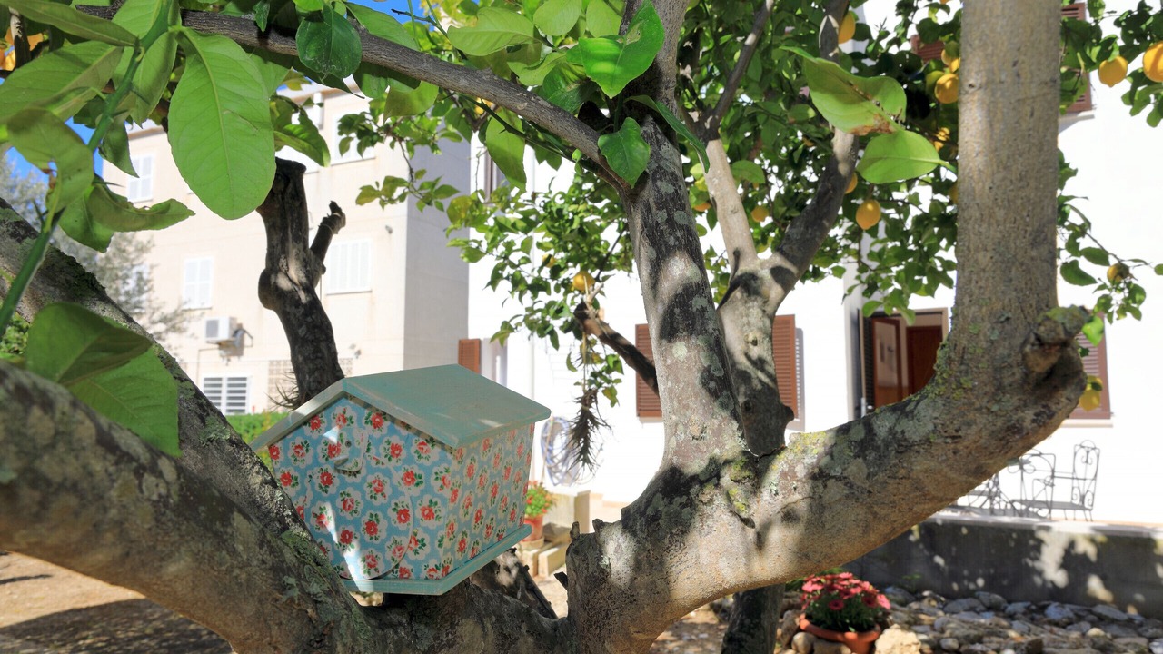 Photo of Outdoor in es Bacares