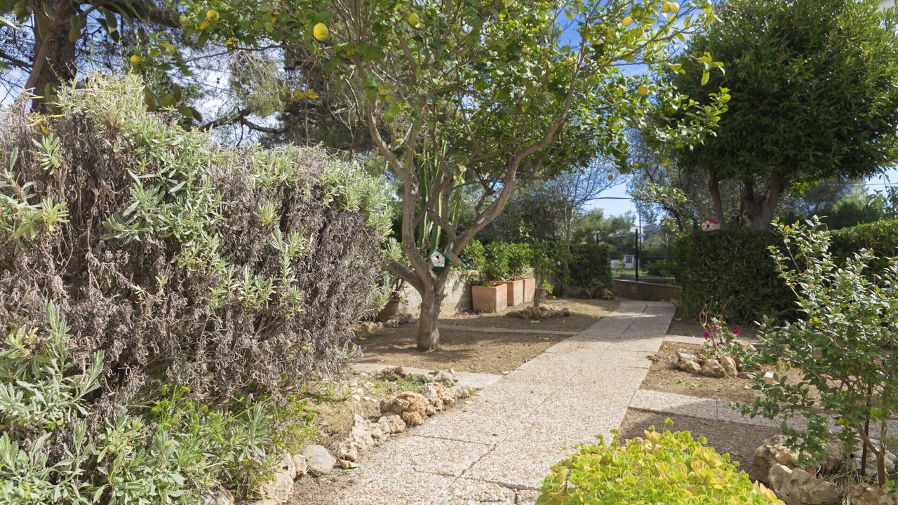 Photo of Outdoor in es Bacares