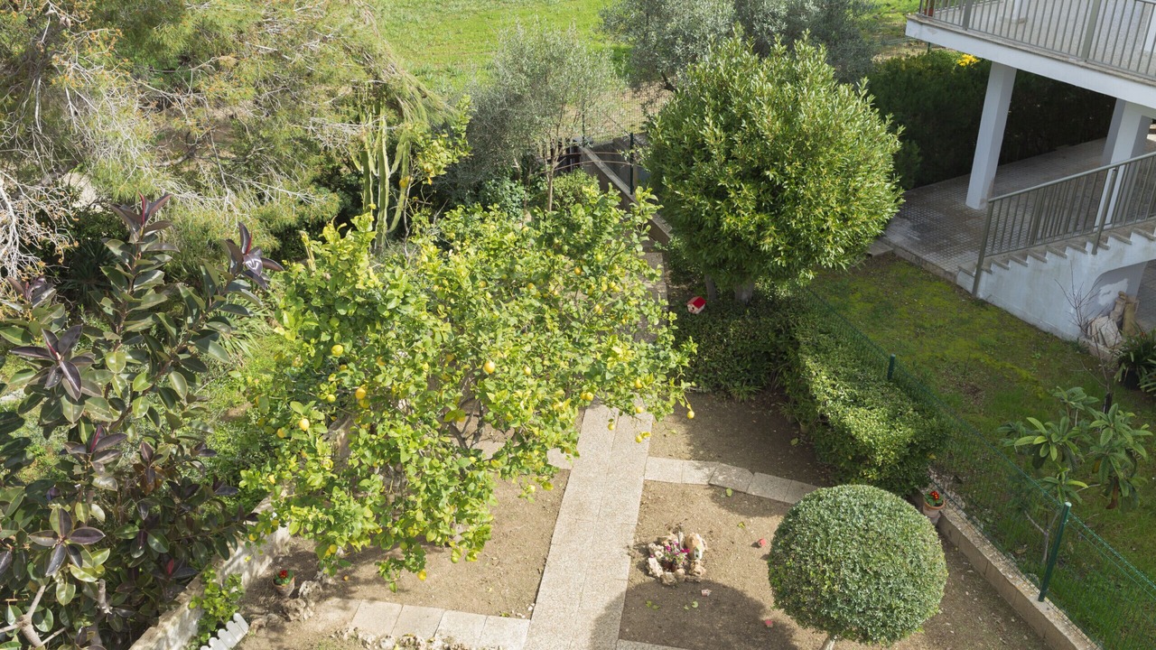 Photo of Outdoor in es Bacares