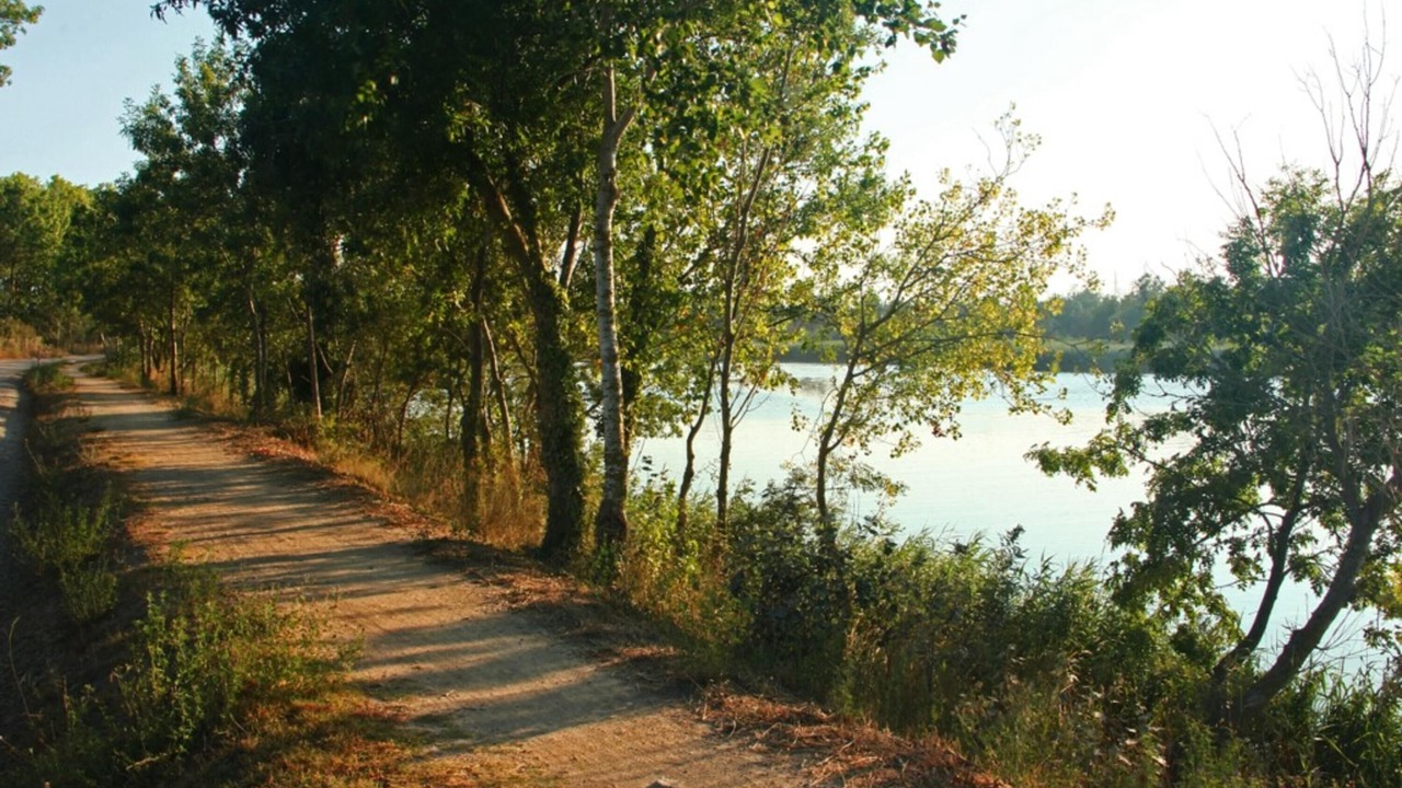 Photo of Others in Sant Pere Pescador