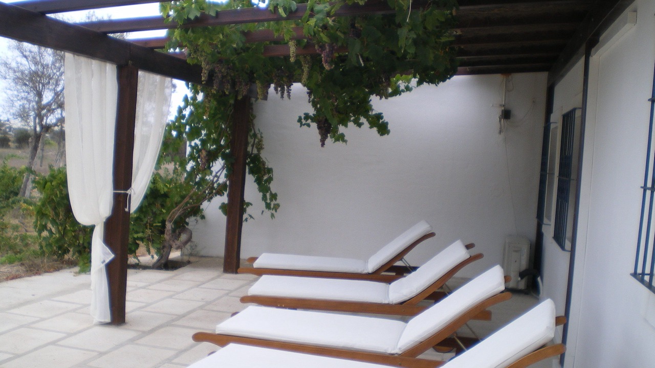 Photo of Patio Balcony in Sant Francesc Xavier