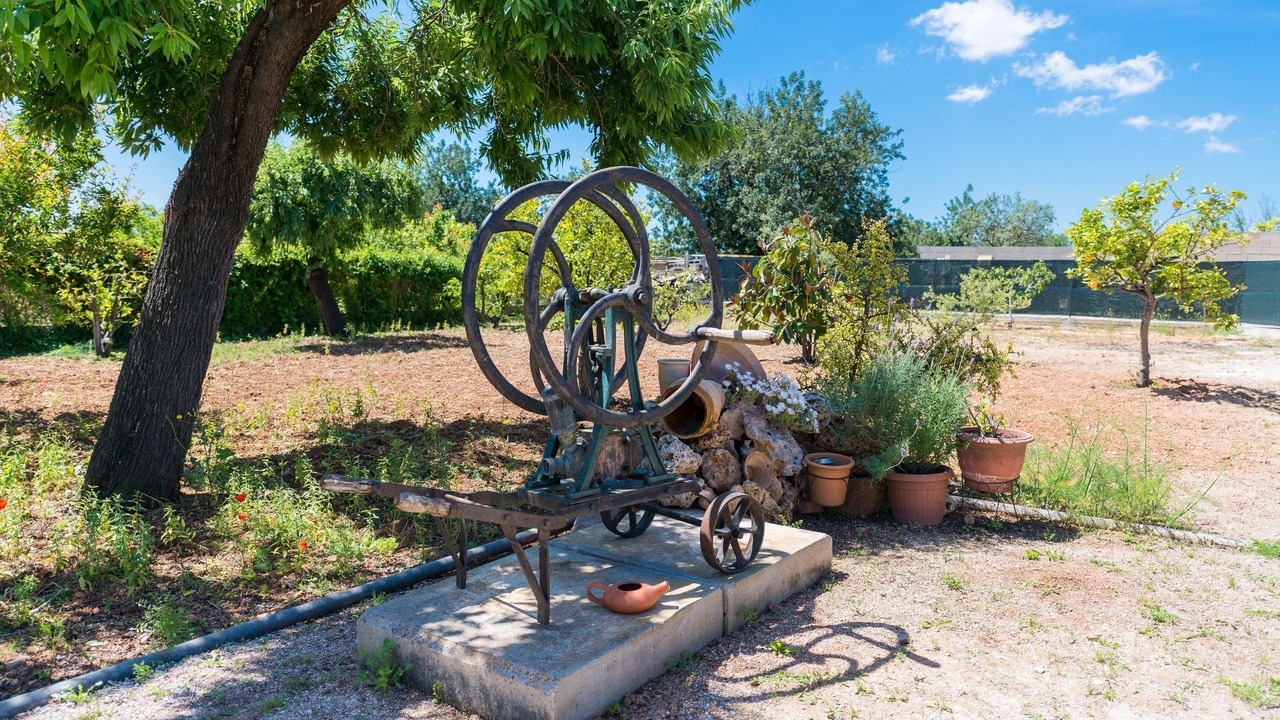 Photo of Outdoor in Es Garrovers