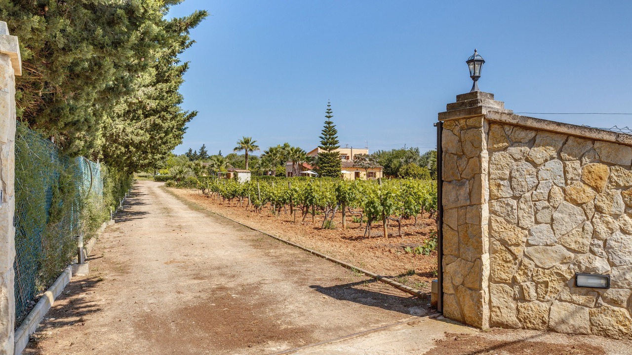 Photo of Outdoor in Biniali